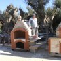 OVENS AND BARBECUES